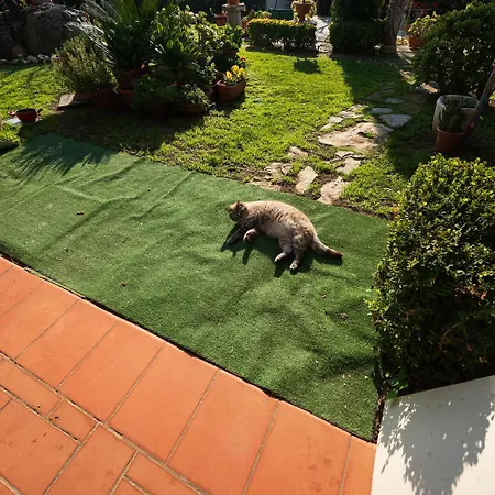 Bed & Breakfast Ida Bed & Breakfast Terracina