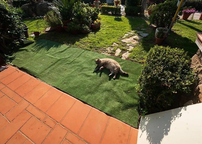 Bed & Breakfast Ida Terracina