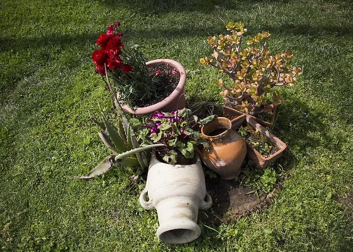 Ida Bed & Breakfast 4*