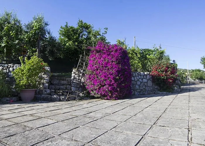 Bed & Breakfast Ida 4*