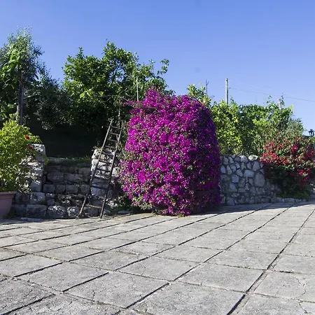 Bed & Breakfast Ida 4*